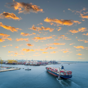 By consolidating services freight forwarders streamline processes making them indispensable for international freight services