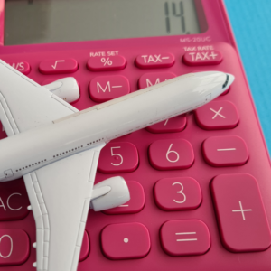 Staying ahead in the global air transport sector requires adaptability innovation and a commitment to leveraging technology