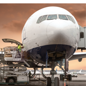 Tools that help real-time quotes businesses select the most cost-effective and timely options for international freight shipping services