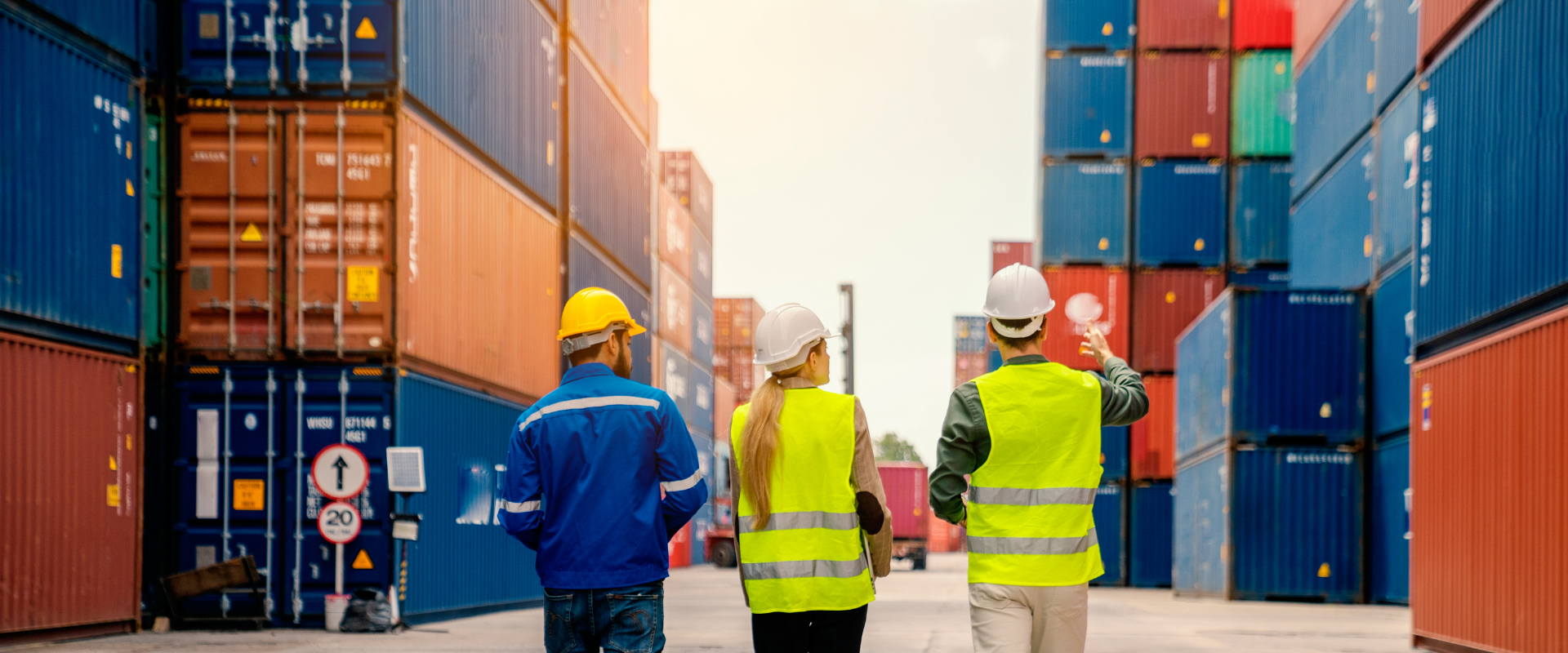 Global Logistics and Supply Chain Management Challenges and Solutions