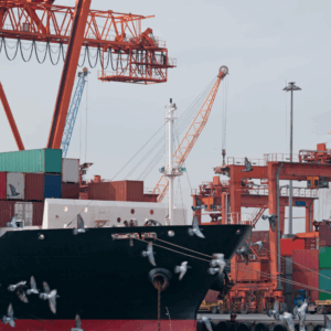 The combination of data, technology, operational expertise, and customer care positions ExFreight as the most reliable, accurate, and comprehensive freight forwarder in the USA.