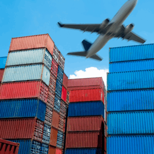 By digitizing shipment information entry, system-based validation mitigates the risks of incorrect data leading to misclassifications or customs delays.