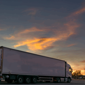 Additionally, the ability to offer LCL ocean freight or LTL shipping while consolidating cargo through efficient planning is essential for managing fluctuating volumes