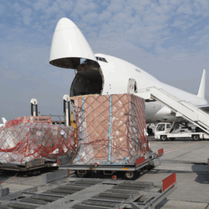 The future of shipping is not simply about choosing between air freight and ocean freight. It's about making informed, strategic decisions based on real-time data, capacity insights, and flexible logistics infrastructure.