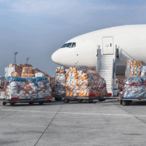 Air cargo transportation demands precision, compliance, and constant adaptation to international regulations