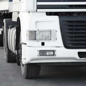 We will incorporate insights from scholarly studies, such as "Factors Shaping Freight Rates," "Developing Tender Optimization Models for Freight Rates," and "Freight Service Network Design with Heterogeneous Preferences for Transport Time and Reliability.
