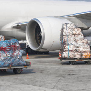 Digital platforms now offer instant quoting, booking, and real-time tracking for shipments across over 150 countries.