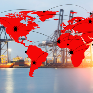 ExFreight offers partial-load services known as less than truckload (LTL) or groupage, full truckload (FTL) services, and intermediate options designed for high-volume shipments within the United States, Canada, and Europe.
